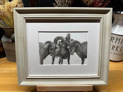Rams Nature Wildlife Graphite Pencil Art Sketch Drawing Print Picture Limited Edition ~ Titled 'Family Strong' by David Allen (11x14 Brown Frame & Print) in Saudi Arabia