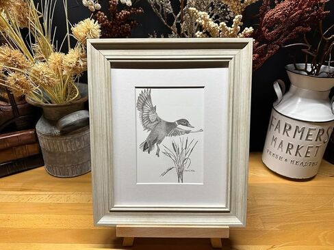 Duck Bird Hunting Nature Wildlife Graphite Pencil Art Sketch رسم طباعة صورة محدودة ~ بعنوان "Cattail Landing" بقلم David Allen (8x10 إطار وطباعة) in Saudi Arabia
