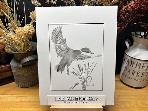 Duck Bird Hunting Nature Wildlife Graphite Pencil Art Sketch رسم طباعة صورة محدودة ~ بعنوان "Cattail Landing" بقلم David Allen (8x10 إطار وطباعة) in Saudi Arabia