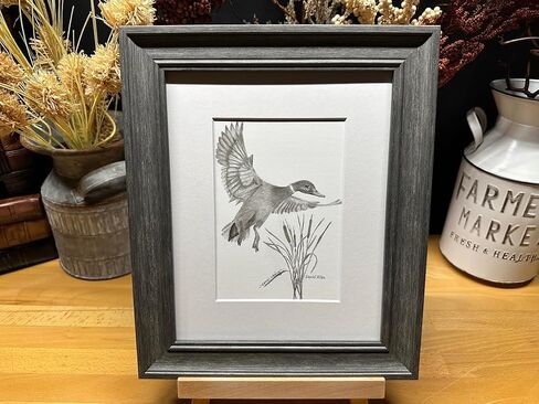 Duck Bird Hunting Nature Wildlife Graphite Pencil Art Sketch رسم طباعة صورة محدودة ~ بعنوان "Cattail Landing" بقلم David Allen (8x10 إطار وطباعة) in Saudi Arabia