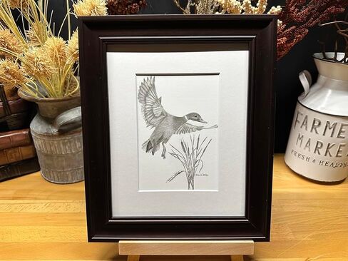 Duck Bird Hunting Nature Wildlife Graphite Pencil Art Sketch رسم طباعة صورة محدودة ~ بعنوان "Cattail Landing" بقلم David Allen (8x10 إطار وطباعة) in Saudi Arabia