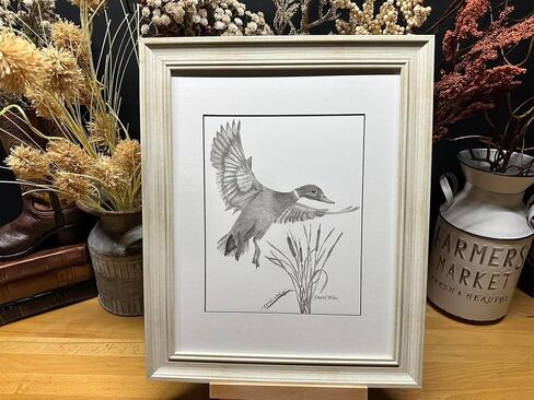 Duck Bird Hunting Nature Wildlife Graphite Pencil Art Sketch رسم طباعة صورة محدودة ~ بعنوان "Cattail Landing" بقلم David Allen (8x10 إطار وطباعة) in Saudi Arabia