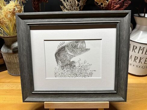 Bass Fish Jumping Nature Wildlife Graphite Art Art Sketch رسم طباعة صورة محدودة بعنوان "اختبار الماء" بقلم ديفيد ألين (8x10 إطار وطباعة) in Saudi Arabia