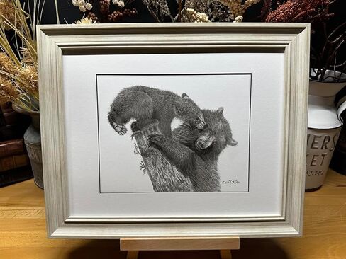 Black Bear Nature Wildlife Graphite Pencil Art Sketch Drawing Print Picture Limited Edition ~ Titled 'Playful Beginnings' by David Allen (8x10 Gray Frame & Print) in Saudi Arabia