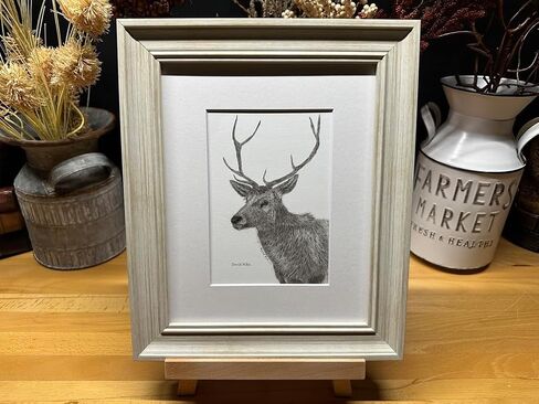 Deer 8 Point Buck Nature Wildlife Graphite Pencil Art Sketch Drawing Print Picture Limited Edition ~ Titled 'Wild Calling' by David Allen (8x10 Gray Frame & Print) in Saudi Arabia