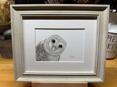 Barn Owl Bird Nature Wildlife Graphite Pencil Art Sketch Drawing Print Picture Limited Edition ~ Titled 'Shadow Play' by David Allen (8x10 White Frame & Print) in Saudi Arabia