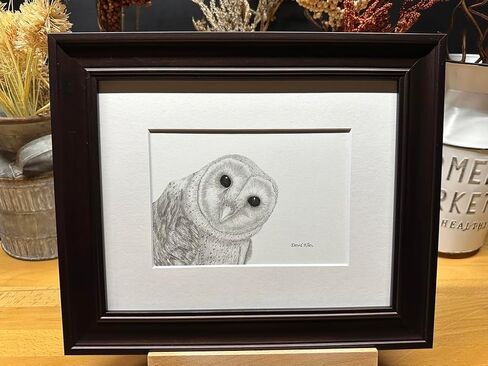Barn Owl Bird Nature Wildlife Graphite Pencil Art Sketch Drawing Print Picture Limited Edition ~ Titled 'Shadow Play' by David Allen (8x10 White Frame & Print) in Saudi Arabia