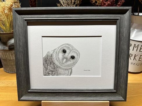 Barn Owl Bird Nature Wildlife Graphite Pencil Art Sketch Drawing Print Picture Limited Edition ~ Titled 'Shadow Play' by David Allen (8x10 White Frame & Print) in Saudi Arabia