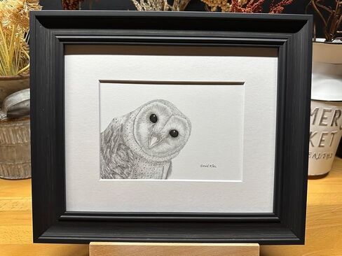 Barn Owl Bird Nature Wildlife Graphite Pencil Art Sketch Drawing Print Picture Limited Edition ~ Titled 'Shadow Play' by David Allen (8x10 White Frame & Print) in Saudi Arabia