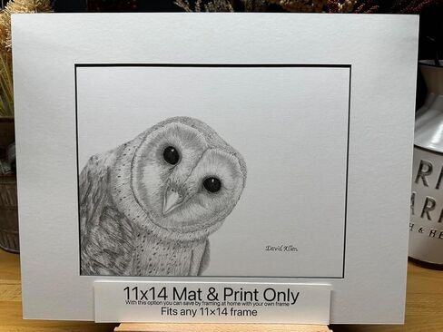 Barn Owl Bird Nature Wildlife Graphite Pencil Art Sketch Drawing Print Picture Limited Edition ~ Titled 'Shadow Play' by David Allen (8x10 White Frame & Print) in Saudi Arabia
