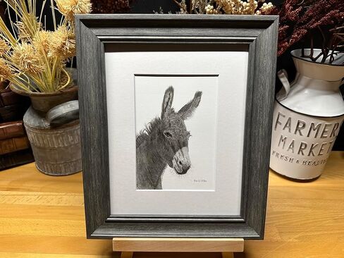 Donkey Mule Nature Wildlife Graphite Pencil Art Sketch Drawing Print Picture Limited Edition ~ 'A Jenny For Your Thoughts' by David Allen (8x10 Mat & Print Only) in Saudi Arabia