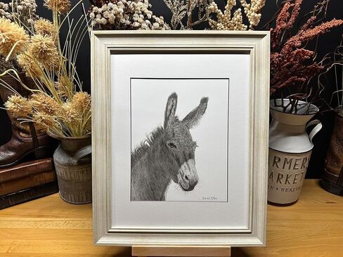 Donkey Mule Nature Wildlife Graphite Pencil Art Sketch Drawing Print Picture Limited Edition ~ 'A Jenny For Your Thoughts' by David Allen (8x10 Mat & Print Only) in Saudi Arabia