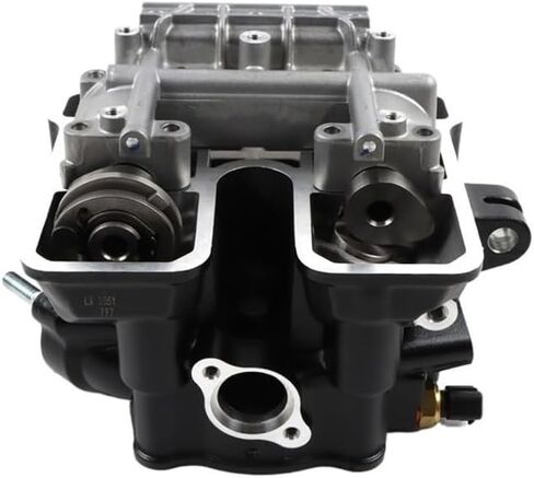 مجموعة أسطوانة الدراجات النارية مع عمود الحدبات تناسب CR6 LX300-6A 300RR/R 300GY 300DS 300AC YF300 (أسود) in Saudi Arabia