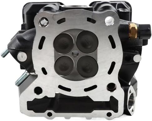 مجموعة أسطوانة الدراجات النارية مع عمود الحدبات تناسب CR6 LX300-6A 300RR/R 300GY 300DS 300AC YF300 (أسود) in Saudi Arabia