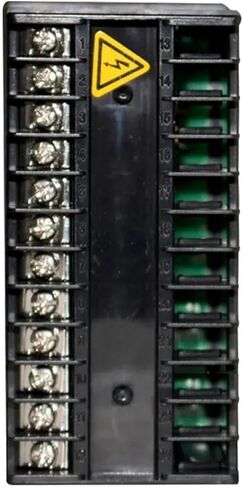 PID Temperature Controller SSR Relay Output RKC Industrial Intelligent Regulator TC/RTD Input 48x96mm CD401(SSR Relay Opt 2ALM) in Saudi Arabia