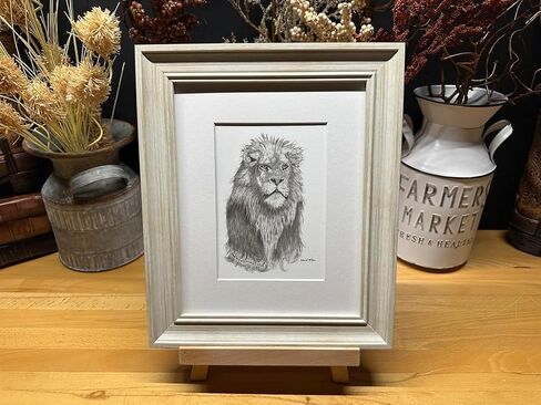 Lion Africa Nature Wildlife Graphite Pencil Art Sketch Drawing Print Picture Limited Edition ~ Titled 'Don't Call Me Kitty!' by David Allen (8x10 White Frame & Print) in Saudi Arabia