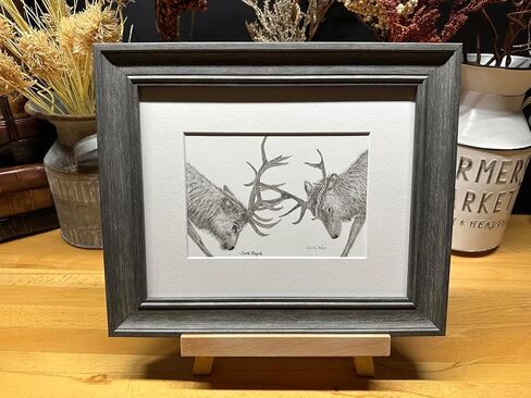 Elk Fighting Nature Wildlife Graphite Pencil Art Sketch Drawing Print Picture Limited Edition ~ Titled 'Battle Royale' by David Allen (8x10 Gray Frame & Print) in Saudi Arabia