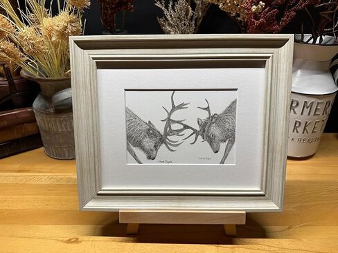 Elk Fighting Nature Wildlife Graphite Pencil Art Sketch Drawing Print Picture Limited Edition ~ Titled 'Battle Royale' by David Allen (8x10 Gray Frame & Print) in Saudi Arabia
