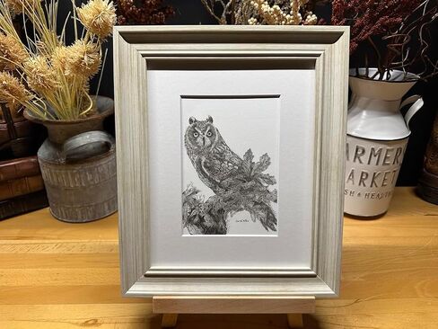 Owl Bird Nature Wildlife Graphite Pencil Art Sketch رسم طباعة صورة محدودة ~ بعنوان "المزج في" بقلم ديفيد ألين (11x14 إطار وطباعة) in Saudi Arabia