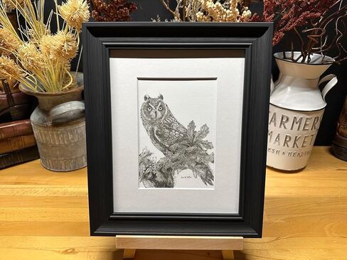 Owl Bird Nature Wildlife Graphite Pencil Art Sketch رسم طباعة صورة محدودة ~ بعنوان "المزج في" بقلم ديفيد ألين (11x14 إطار وطباعة) in Saudi Arabia