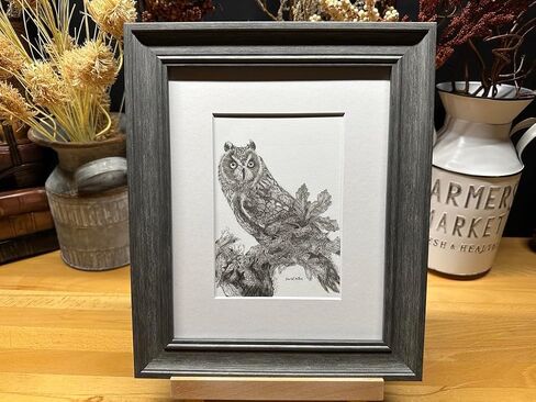 Owl Bird Nature Wildlife Graphite Pencil Art Sketch رسم طباعة صورة محدودة ~ بعنوان "المزج في" بقلم ديفيد ألين (11x14 إطار وطباعة) in Saudi Arabia