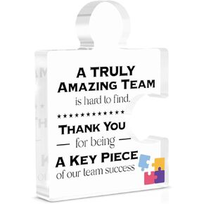 Thank You Appreciation Gifts for Coworkers, Retirement Goodbye Gift for Coworkers Colleagues Employees, Never Forget You Are the Piece That Made the Difference Acrylic Puzzle Piece Plaque Office Decor in Saudi Arabia