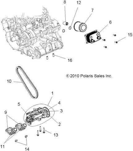 Polaris RZR Oil Pump Seal, Genuine OEM Part 3610167, Qty 1 in Saudi Arabia