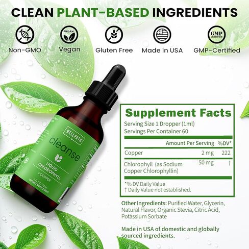 WellPath Chlorophyll Liquid Drops with Copper - High Potency Vegan Liquid Chlorophyll for Body Odor, Liver Detox, Digestion Support & Immune Support - Internal Deodorant, Made in USA, Non-GMO, 2 Fl Oz in Saudi Arabia