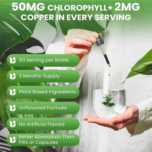 WellPath Chlorophyll Liquid Drops with Copper - High Potency Vegan Liquid Chlorophyll for Body Odor, Liver Detox, Digestion Support & Immune Support - Internal Deodorant, Made in USA, Non-GMO, 2 Fl Oz in Saudi Arabia