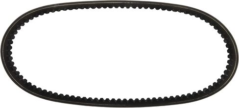 Continental 19GBS818 PowerSports Belt in Saudi Arabia