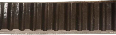 Continental 19GBS818 PowerSports Belt in Saudi Arabia