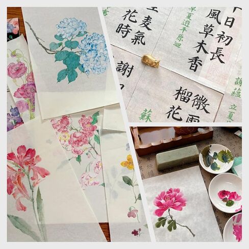 100 ورقة بحجم حرف 8.5 بوصة × 11 بوصة ورق التوت، ورق الأرز من الألياف الطبيعية، ورق مناديل مزخرفة من ديكوباج لكتابة اللوحات اليدوية والحرف اليدوية وتغليف الهدايا (MP-06) in Kuwait