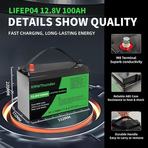 بطارية 12V 100AH LIFEPO4 ، 1280WH 15000 بطاريات ليثيوم دورة عميقة ، 100A BMS مع حماية منخفضة الإيقاع ، مثالية للربع ، الطاقة الشمسية ، القوارب ، البحرية ، محرك التصيد in Saudi Arabia