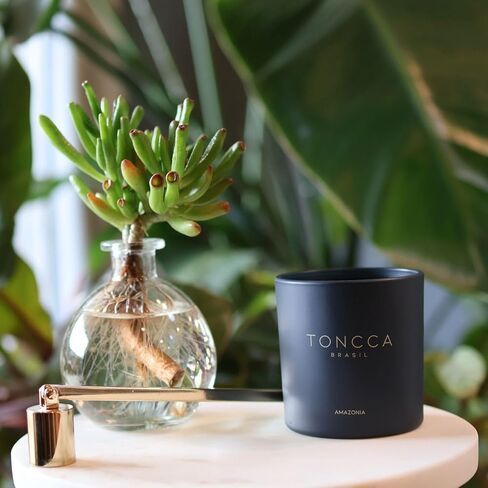 شمعة الأمازون من Toncca-مملوءة باليد في البرازيل-شمع جوز الهند والرائحة الطبيعية in Saudi Arabia