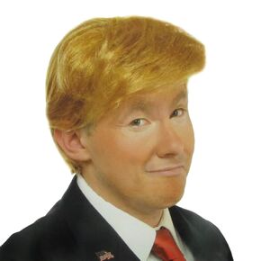 Treasure Gurus President Donald Trump Blonde Wig Fake Hair Piece POTUS Halloween Costume Accessory