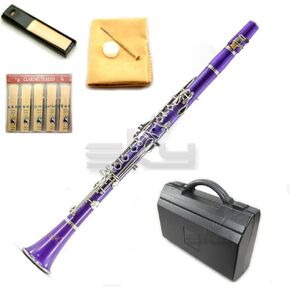 SKYCL201-PR Purple ABS BB Clarinet with Case
