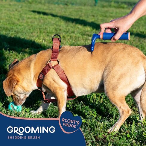 Good Scout 2-Piece Deshedding Tool Set with Comb & Soft Bristle Brush, Best Deshedding Tool for Dogs & Cats, Gentle, Safe & Effective Grooming Tool for Short or Long Haired Animals in Kuwait