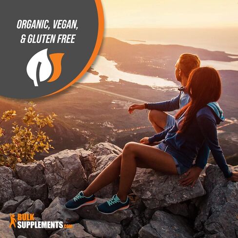 BULKSUPPLEMENTS.COM مسحوق مستخلص الإنولين العضوي - مكمل الألياف، مصدره مسحوق إنولين الصبار العضوي - مسحوق إنولين عضوي، خالي من الغلوتين - 2 جرام لكل وجبة، 500 جرام (1.1 رطل) (عبوة من قطعة واحدة) in Saudi Arabia
