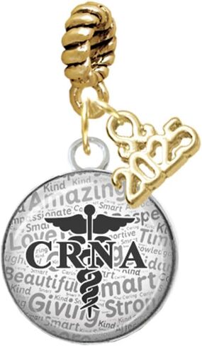 Delight Jewelry Silvertone Domed CRNA - حبل حبل حبل ذهبي يتدلى مع Mini 2025 in Kuwait