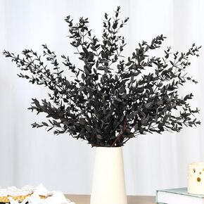 يترك الأوكالبتوس المجفف سيقان محفوظة حقيقية ، فروع طازجة الأوكالبتوس جارلاند للاستحمام ، النباتات المجففة حزمة أوراق أرجوان in Kuwait