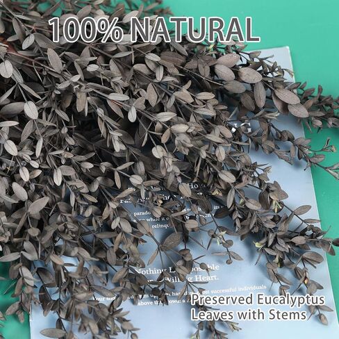 Dried Eucalyptus Leaves Real Preserved Stems, Fresh Eucalyptus Garland Branches for Shower, Dried Plant Live Bundle Purple Leaves for Wedding Wreath Party Home Fragrance Vase Decor in Kuwait