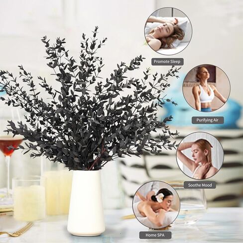 Dried Eucalyptus Leaves Real Preserved Stems, Fresh Eucalyptus Garland Branches for Shower, Dried Plant Live Bundle Purple Leaves for Wedding Wreath Party Home Fragrance Vase Decor in Kuwait