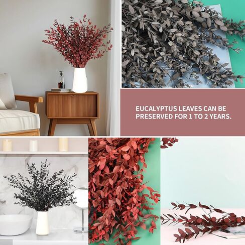 Dried Eucalyptus Leaves Real Preserved Stems, Fresh Eucalyptus Garland Branches for Shower, Dried Plant Live Bundle Purple Leaves for Wedding Wreath Party Home Fragrance Vase Decor in Kuwait