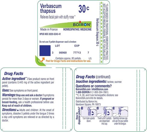 Boiron Verbascum Thapsus 30C for Facial Pain with Stuffy Nose - 80 Pellets in Saudi Arabia