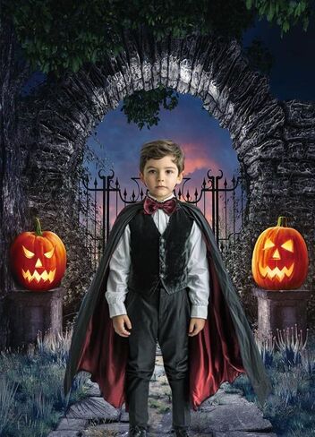 LTLYH 5x7Ft هالوين التصوير خلفية هالوين منزل مسكون خلفية هالوين اليقطين قزم الرهيبة حفلة صور خلفية 017 in Kuwait