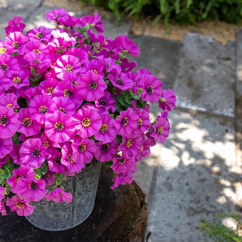 Artificial Flowers for Outdoors,Silk Fake Flowers,UV Resistant Artificial Outdoor Flowers for Outdoor Indoor Garden Home Decoration,12 Bundles (Colorful) in Saudi Arabia