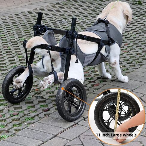 Dog Wheelchair for Back Legs with Pet Traction Rope, Medium Wheelchair for Dogs with Disabled Hind Legs Walking Adjustable Dog Carts with Heavy Duty Wheels in Saudi Arabia