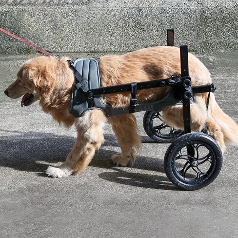 Dog Wheelchair for Back Legs with Pet Traction Rope, Medium Wheelchair for Dogs with Disabled Hind Legs Walking Adjustable Dog Carts with Heavy Duty Wheels in Saudi Arabia