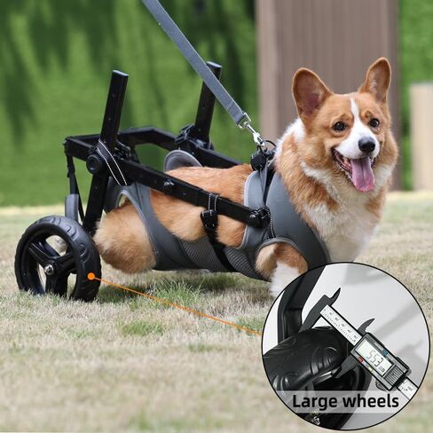Dog Wheelchair for Back Legs with Pet Traction Rope, Medium Wheelchair for Dogs with Disabled Hind Legs Walking Adjustable Dog Carts with Heavy Duty Wheels in Kuwait