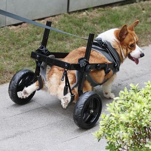 Dog Wheelchair for Back Legs with Pet Traction Rope, Medium Wheelchair for Dogs with Disabled Hind Legs Walking Adjustable Dog Carts with Heavy Duty Wheels in Kuwait